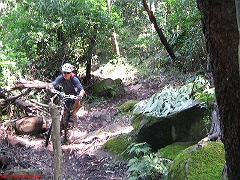 20080210-Bulli 115